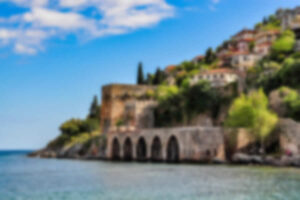 Immagine Vita Notturna 