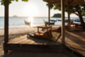 Immagine Vita Notturna 